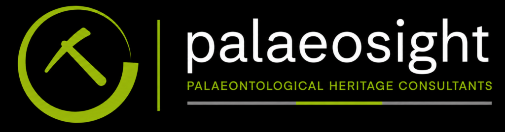 Full logo (black) website