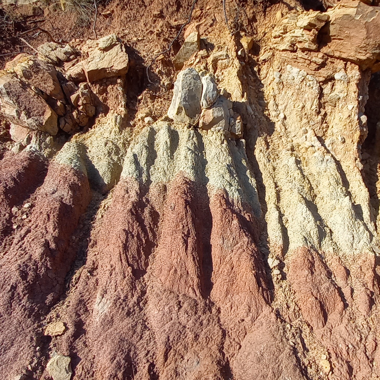 stratigraphy